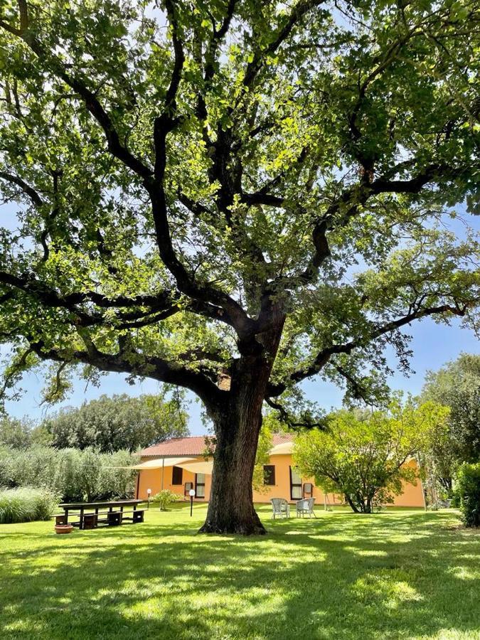 Agriturismo I Tre Fossi 马利亚诺因托斯卡纳 外观 照片
