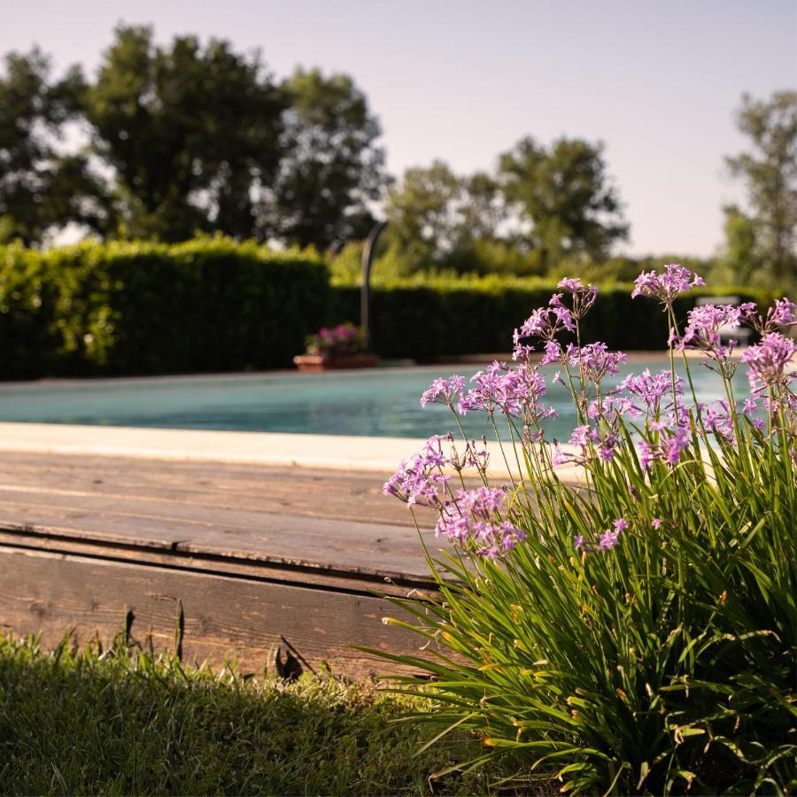 Agriturismo I Tre Fossi 马利亚诺因托斯卡纳 外观 照片