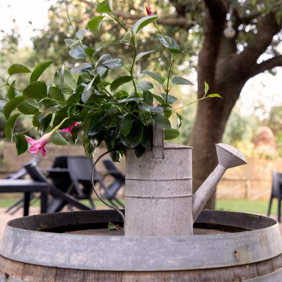 Agriturismo I Tre Fossi 马利亚诺因托斯卡纳 外观 照片